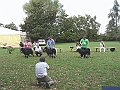 img 042